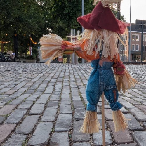 Vogelverschrikker-1