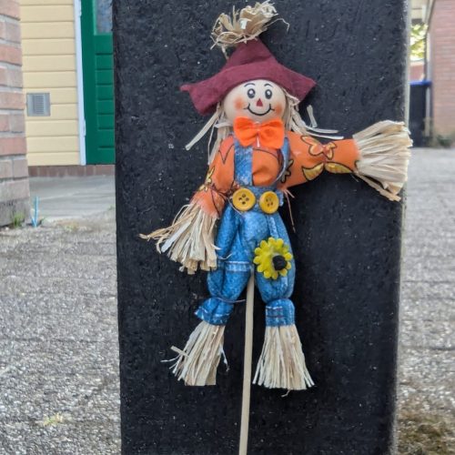 Vogelverschrikker-11