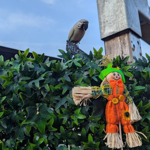 Vogelverschrikker-12