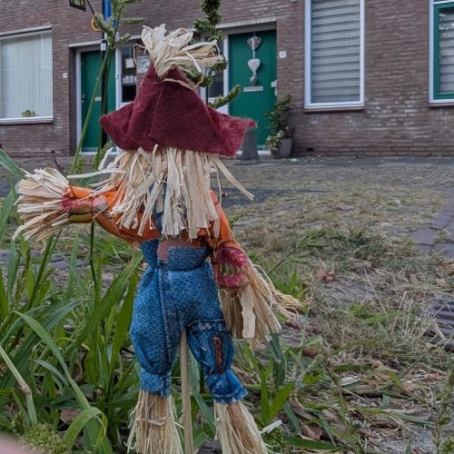 Vogelverschrikker-14