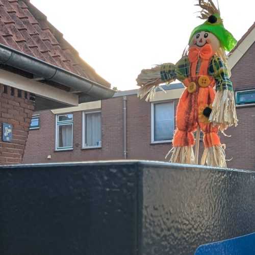 Vogelverschrikker-9